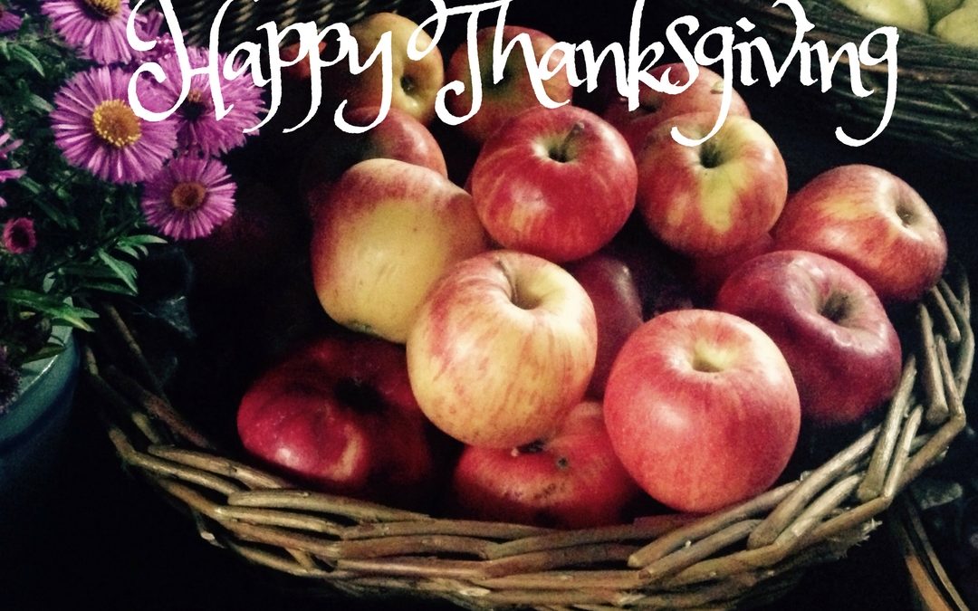 Happy Thanksgiving!