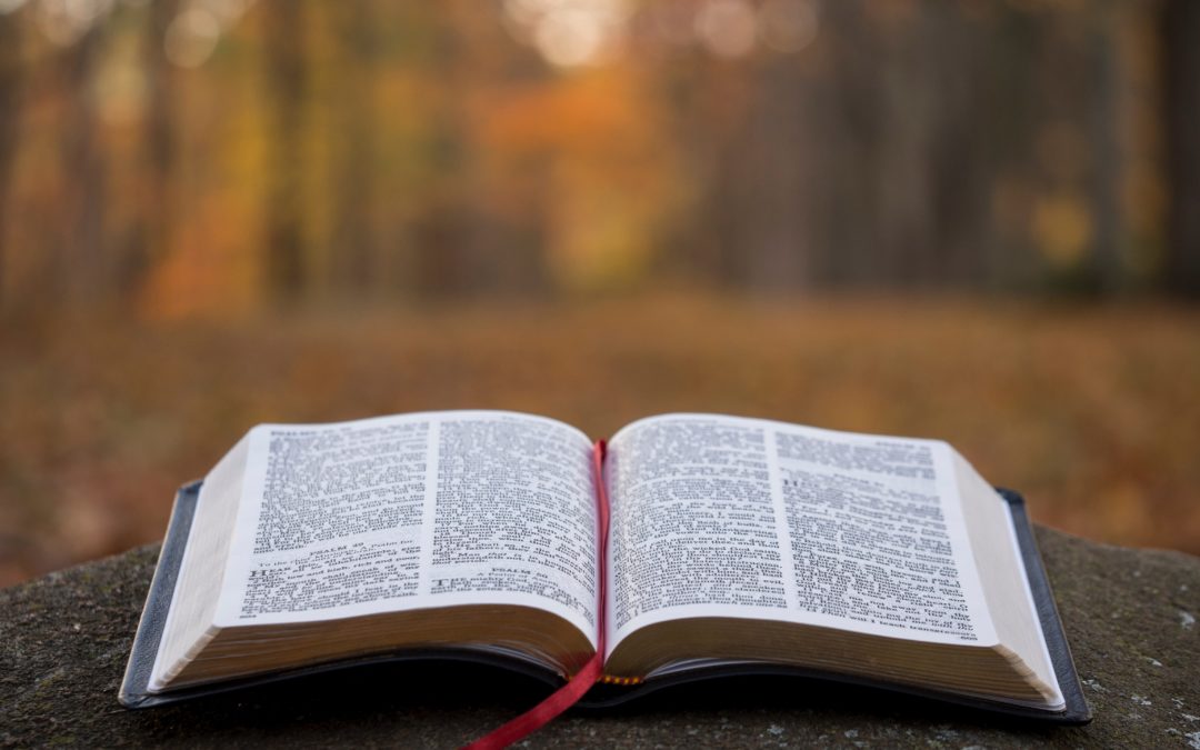 To the Philippians…